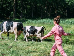 BoerenBed Hoeve de Pippert