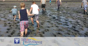 Wad excursie op Schiermonnikoog Wad excursie op Schiermonnikoog | Foto geüpload door gebruiker Natuurmonumenten.