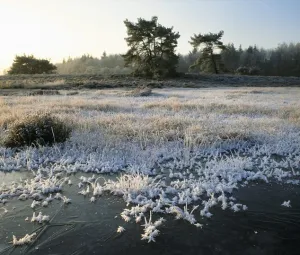 Ochtendwandeling Foto geüpload door gebruiker Geldersch Landschap en Kasteelen