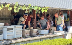 Bijen kijken op imkerij - excursie naar de imker! Foto: Imker van HONINGonline.nl en imkerij De Valksche Bijenhof