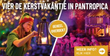 Beleef een waanzinnig winteravontuur in Pantropica!