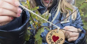 Wat kun je doen dit weekend? Plant dit weekend je eigen boom, zomaar of ter ere van een bijzonder moment in je leven. En hang er je eigen boomschijfje aan! Foto: geüpload door gebruiker Natuurmonumenten.