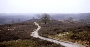 Met de gids op stap in December | Foto geüpload door gebruiker Natuurmonumenten.