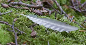 OERRR Sporen zoeken met de boswachter OERRR Sporen zoeken met de boswachter | Foto geüpload door gebruiker Natuurmonumenten.