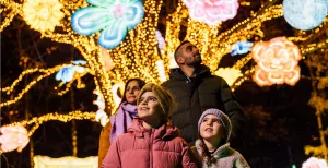 Winteravonden als een sprookje: bezoek deze 11 betoverende lichtfestivals Wandel tussen de prachtige lichtbeelden van planten en dieren uit de hele wereld bij Light Safari in Beekse Bergen. Foto: Libéma © Joost van Asch