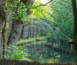 Eendenkooi rondleiding Foto geüpload door gebruiker Geldersch Landschap en Kasteelen