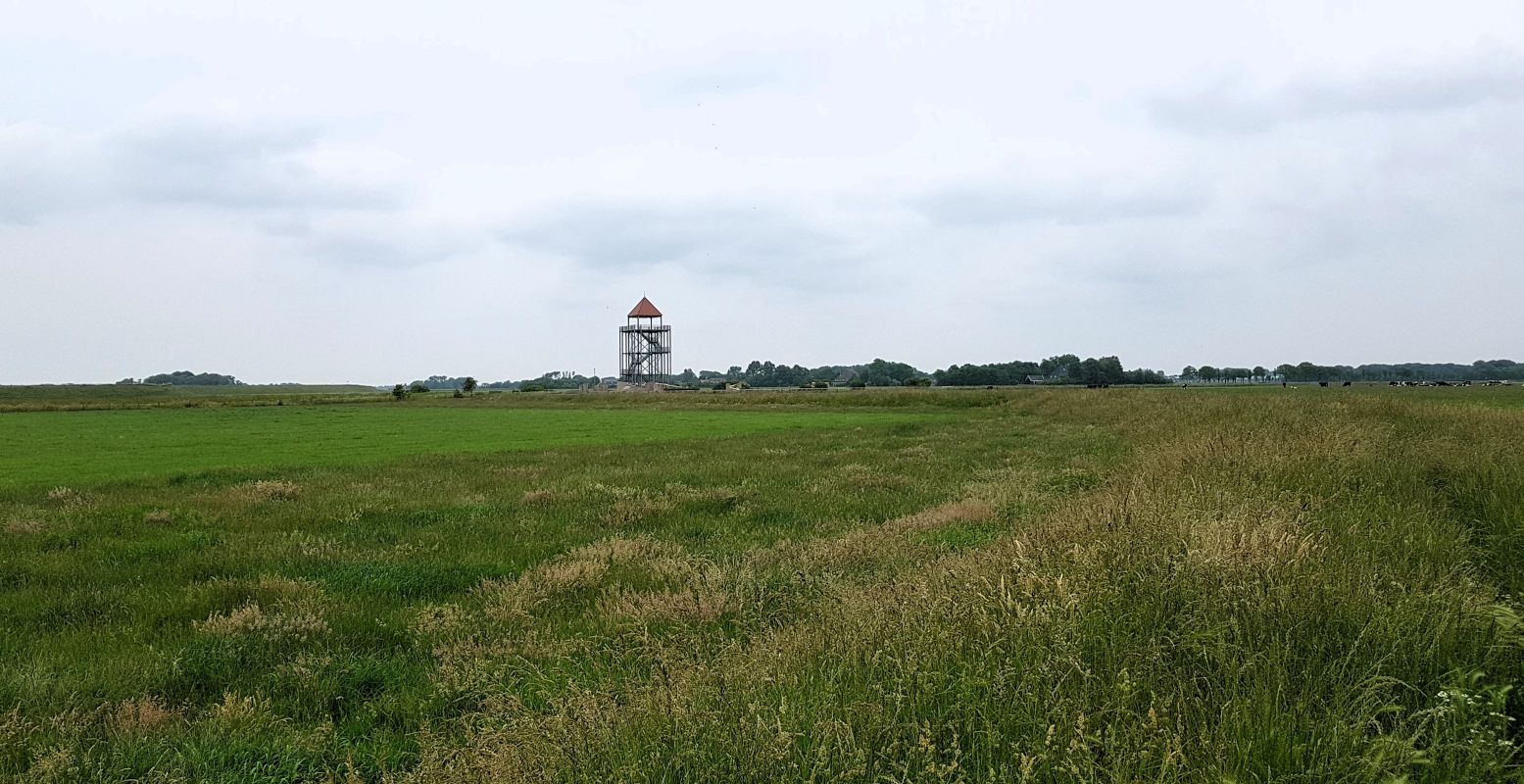 Staat er opeens een uitkijktoren in de polder! Op die plek stond ooit een kasteel van Floris V. Foto: DagjeWeg.NL © Henk Arendse