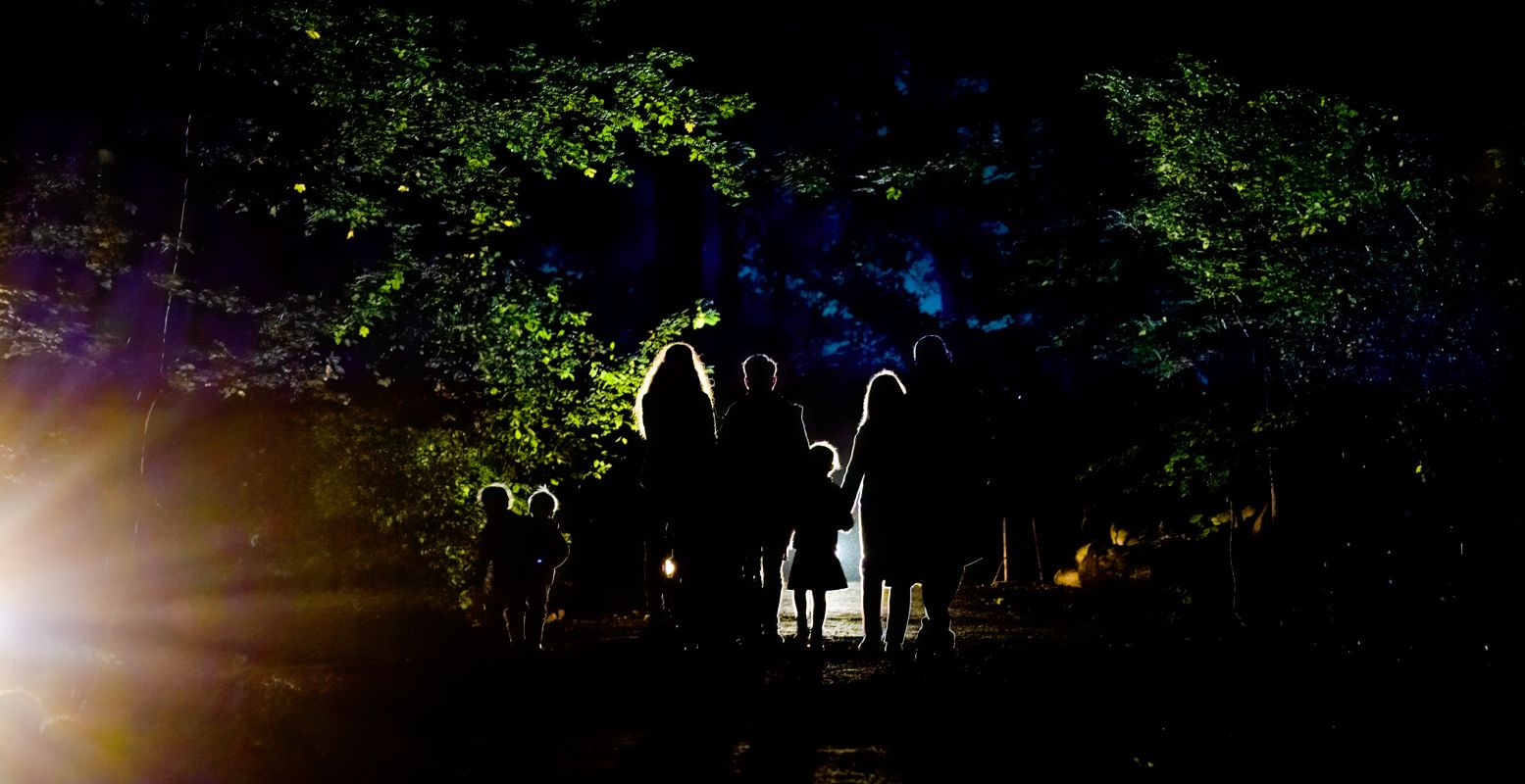 Tijdens De Grote Schijn lijkt het Kralingse Bos zo weggelopen uit een sprookje. Foto: Wovelty Photography