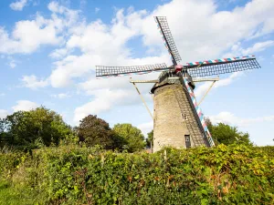 Zomerse kleuren langs de Geul Foto: Visit Zuid-Limburg
