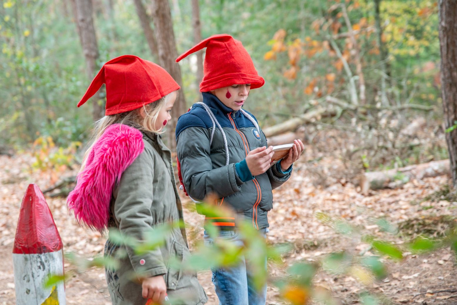 Wandelen met kinderen? Volg dan het Kabouterpad over de Sallandse Heuvelrug. Foto: Staatsbosbeheer © Loïs Koelewijn