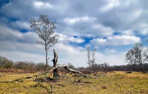 Foto: Limburgs Landschap Gouda | Foto geüpload door gebruiker limburgslandschap