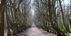 Walking in a winters Nederland: 6 mooie wandelingen in de winter