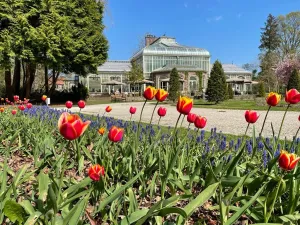 Music for a while Foto: De Wintertuin Baarn