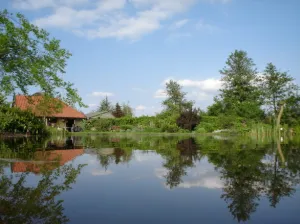 Gluren in een zonovergoten Betuwse tuin