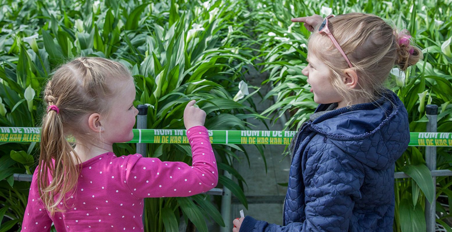 Kom in de Kas is niet alleen leuk, maar ook nog leerzaam. Doe mee met speurtochten, workshops en andere leuke activiteiten. Foto: Kom in de Kas © Rolf van Koppen Fotografie.