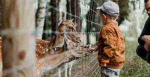 Leuke stadsboerderijen in Nederland op een rij Op een stadsboerderij leren kinderen van alles over de natuur. Foto: Unsplash