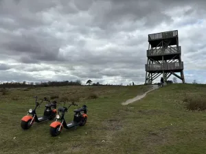 Ga eropuit met een E-Chopper met het hele gezin! Fotograaf: Huifkarverhuur Estelle