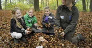 OERRR Struinen en knutselen met bosmaterialen met de boswachter | Foto geüpload door gebruiker Natuurmonumenten.