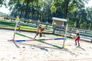 Foto: Manege Meinders