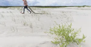 Jutters in actie met de Balgexpres Jutters in actie met de Balgexpres | Foto geüpload door gebruiker Natuurmonumenten.