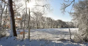 Winterwandeling met snert op de Oude Buisse Heide Winterwandeling met snert op de Oude Buisse Heide | Foto geüpload door gebruiker Natuurmonumenten.