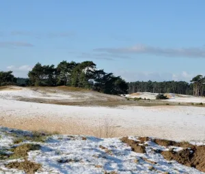 Winterwandeling Foto geüpload door gebruiker Geldersch Landschap en Kasteelen