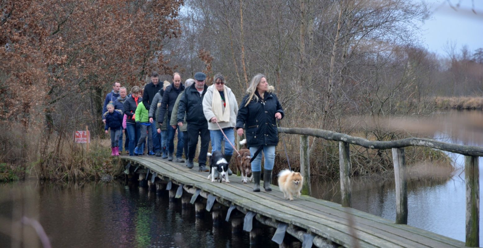 Maak een relaxte kuiertocht door de prachtige Friese natuur. Foto: GFTO © Lourens Hengst