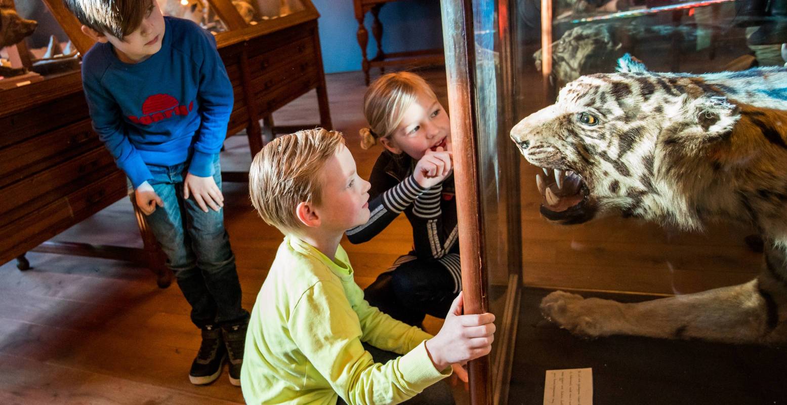 Schoolreisjes per provincie Leren gaat vanzelf als je plezier hebt. Foto: Natuurmuseum Fryslân ©