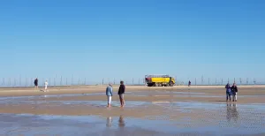 Reportage: weekendje Vlieland! Dit is er allemaal te doen Met de Vliehors Expres over de enorme zandplaat van West-Vlieland. Zeehonden spotten en dan weer instappen voor de volgende stop: het Drenkelingenhuisje. Foto: DagjeWeg.NL © Tonny van Oosten