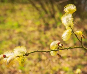 Foto geüpload door gebruiker Geldersch Landschap en Kasteelen