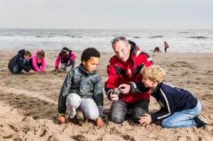 Fossielenexpeditie op het Maasvlaktestrand Foto: FutureLand