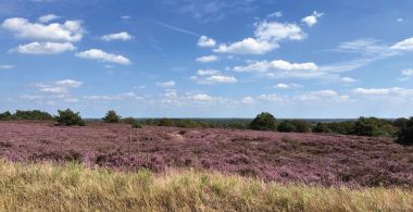 Ontdek hoe mooi Overijssel is met een autopuzzeltocht van Puzzeluitje