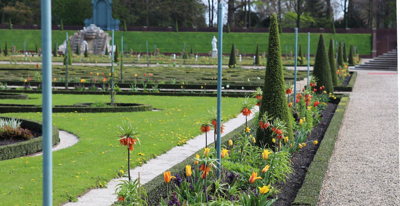 Ontdek zeldzame en unieke bloemen in de paleistuinen. Foto: Redactie DagjeWeg.NL