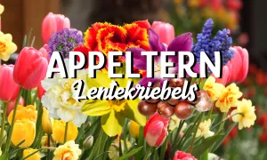 Appeltern Lentekriebels Foto: Bloemenpark Appeltern 