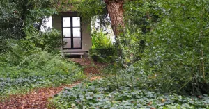 Forest Bathing bij Buitenplaats De Tempel | Foto geüpload door gebruiker Natuurmonumenten.