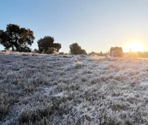 Foto geüpload door gebruiker import Geldersch Landschap en Kasteelen