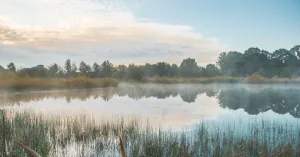 Struintocht met laarzen door Beekbergerwoud | Foto geüpload door gebruiker Natuurmonumenten.