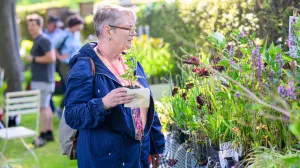 Foto: Bloemenpark Appeltern 