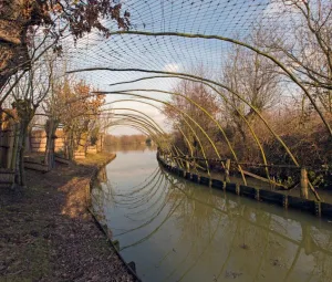 Eendenkooi excursie Foto geüpload door gebruiker Geldersch Landschap en Kasteelen