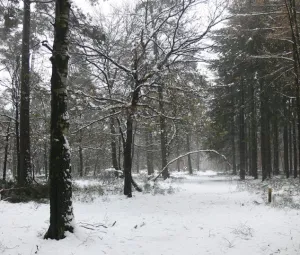 Winterwandeling Foto geüpload door gebruiker import Geldersch Landschap en Kasteelen