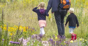 Nazomerwandeling met de boswachter | Foto geüpload door gebruiker Natuurmonumenten.