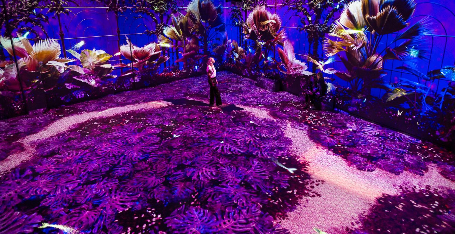 Wandel op een regenachtige dag tijdens de vakantie door de nieuwe botanische tuin van Motion Experience en raak betoverd door de prachtige lichteffecten. Foto: Motion Experience