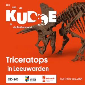 Triceratops in Leeuwarden Foto: Natuurmuseum Fryslân