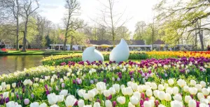 Luid de lente in met Keukenhof Kunst tussen de tulpen. Foto: Keukenhof