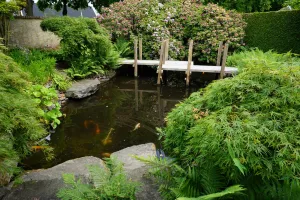 Holland Koi Show