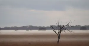 Dwingelderveldlezing: Passie voor natuur houdt nooit op Dwingelderveldlezing: Passie voor natuur houdt nooit op | Foto geüpload door gebruiker Natuurmonumenten.