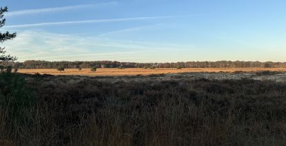 Laat je betoveren door de geheimzinnige schoonheid van de omgeving rond Wolfheze. Foto: Joey Haalboom