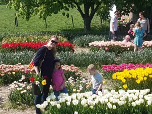 Tulpenveld. Foto: Anne-Marie Fontijn