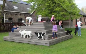 Volop activiteiten op de kinderboerderij tijdens de 3e week van de zomervakantie Foto: Gemeente Gouda | Foto geüpload door gebruiker.