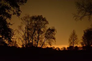 Nacht van de Nacht op Landgoed de Hamert Foto: Limburgs Landschap Gouda | Foto geüpload door gebruiker limburgslandschap